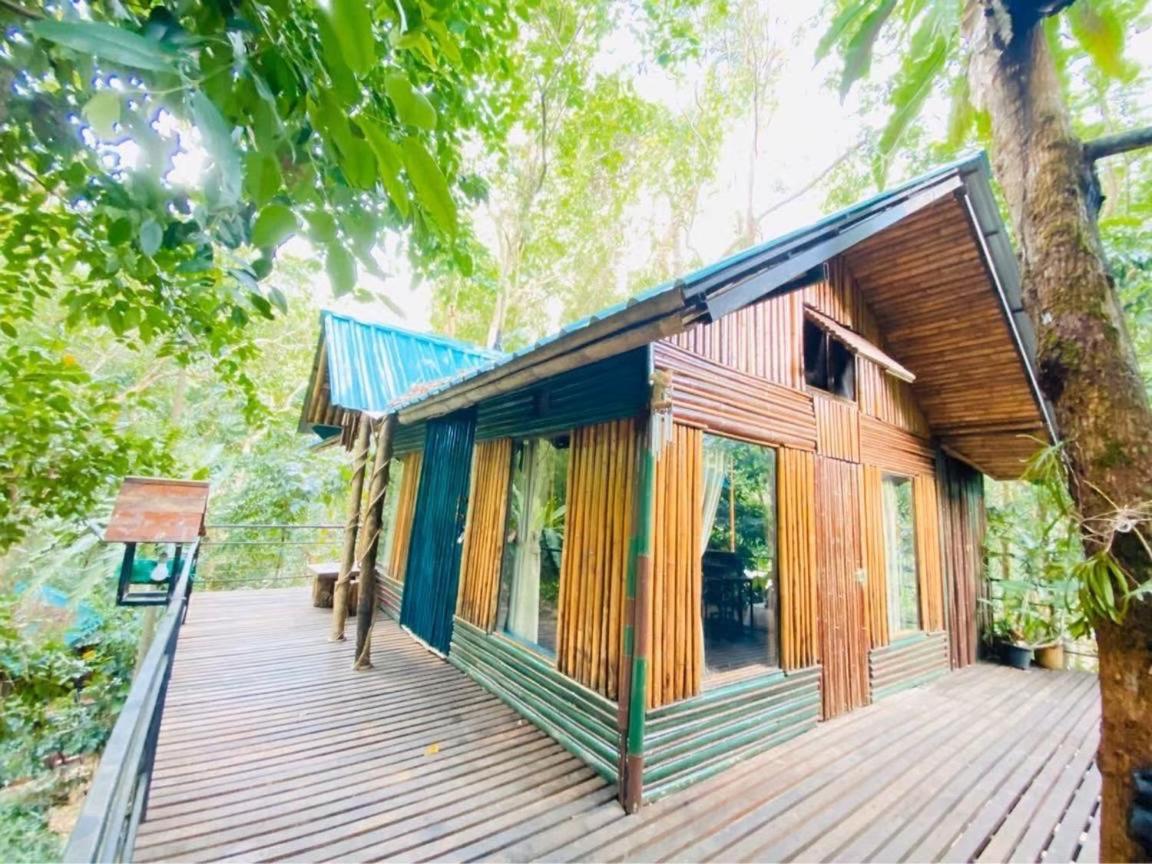 Khao Sok Tree House Resort Khao Sok National Park Kültér fotó